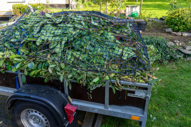 Best Shed Removal  in , NJ
